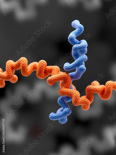 Soluble epoxide hydrolase (sEH), a bifunctional enzyme which binds to specific epoxides and converts them to the corresponding diols. Mutations have been associated with familial hypercholesterolemia