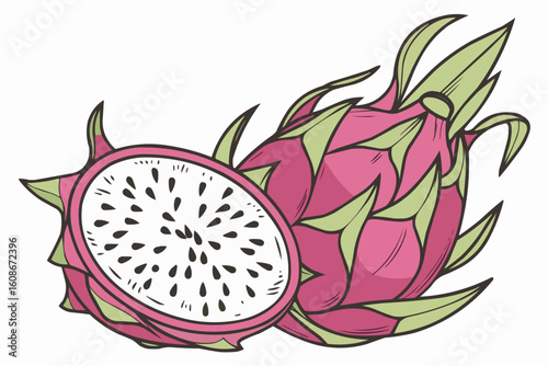 Two dragon fruit art