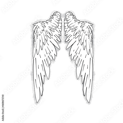 vector illustration of wings