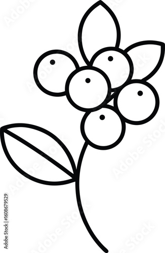 cartoon vector kawaii sea buckthorn   line art on  (1).eps