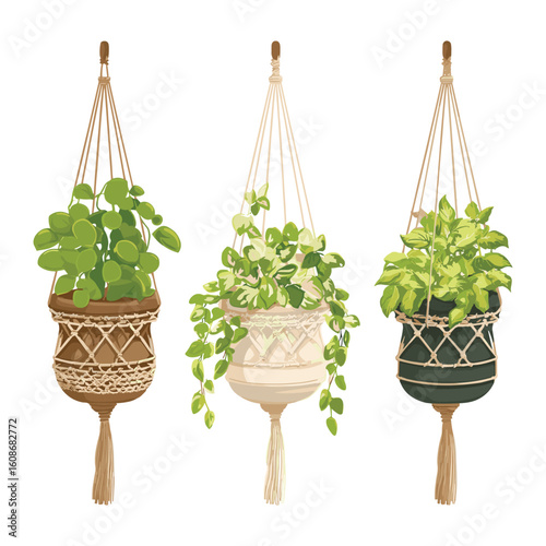 set of 3 hanging houseplants in decorative pots for interior decor
