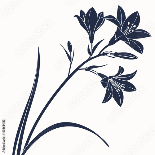 abstract floral background with zephyranthes robusta