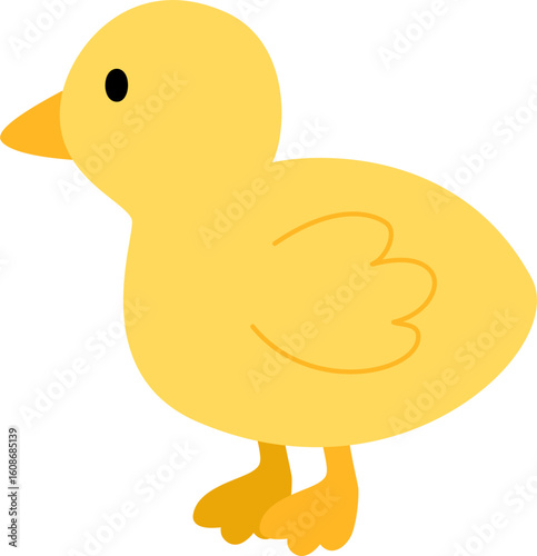 cute chicken cartoon animal