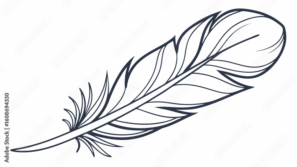 Obraz premium feather isolated on white background