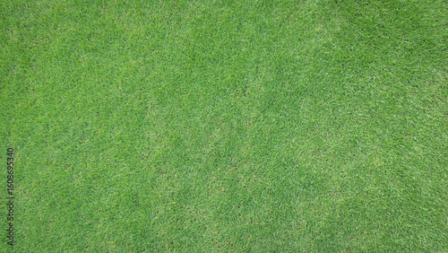 Fotografie Green grass lawn background top view, greenery field texture for golf course tur