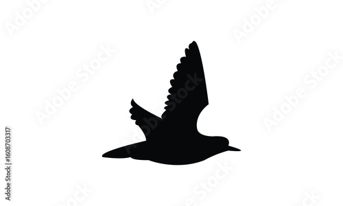 Flying American golden plover bird Silhouette Design  And Vector Illustration. 
