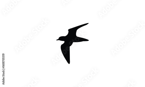 Flying American golden plover bird Silhouette Design  And Vector Illustration. 