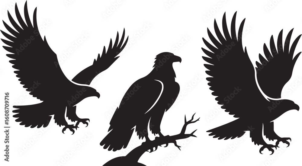 Obraz premium Flying Eagle Silhouette SVG Eagle Bird Cut File Bundle Hawk Eagle Vector Clipart Set