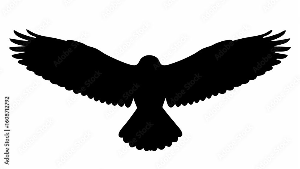Naklejka premium Silhouette of a bird with wings spread wide in flight against a white background viewed from above angle