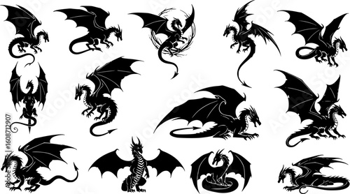a variety of dragon silhouettes, mythical creatures, black color, vector

