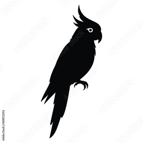 Black silhouette of a cockatoo perched on a branch against a white background