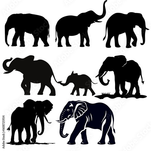 Photography elephant silhouette