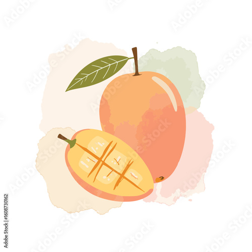 Mango illustration in soft pastels with golden accents, summer freshness