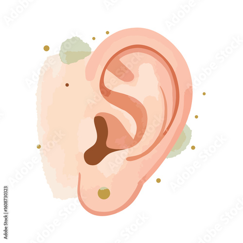 Abstract ear illustration in soft pastels on white background, sensory design
