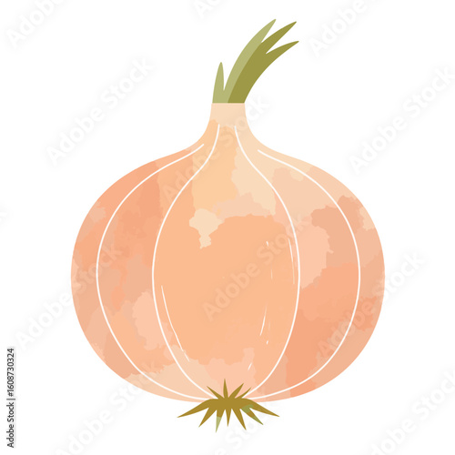 Artistic onion illustration in soft pastel colors, food minimalism