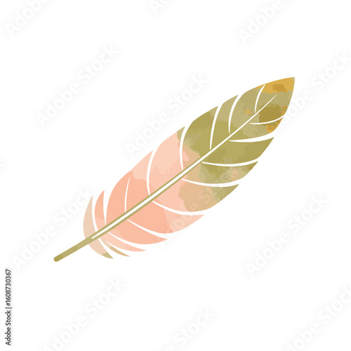 Pastel feather design with gold and olive accents on white background, elegance