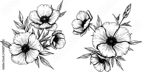 Set of  flowers with line art element design. black and white line art drawing, no color, no shading. white background