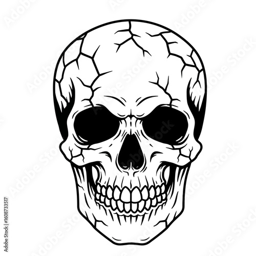 Detailed monochrome skull with cracked head design silhouette