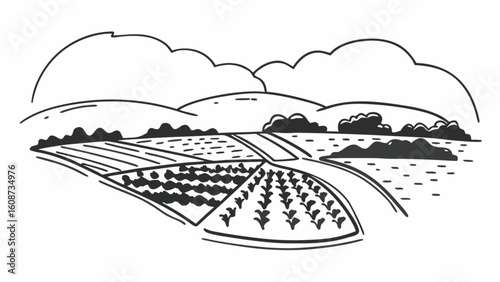 Farm landscape drawing vector illustration of agriculture fields with crops and rural scenic view design