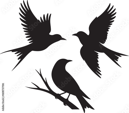 "Islamic Crescent Symbols with Arabic Calligraphy" bundle