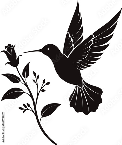 vector illustration of a bird