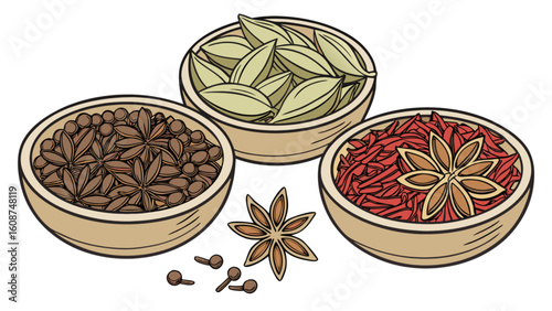 Cooking spices illustration featuring star anise cardamom and saffron for culinary and flavor enhancement