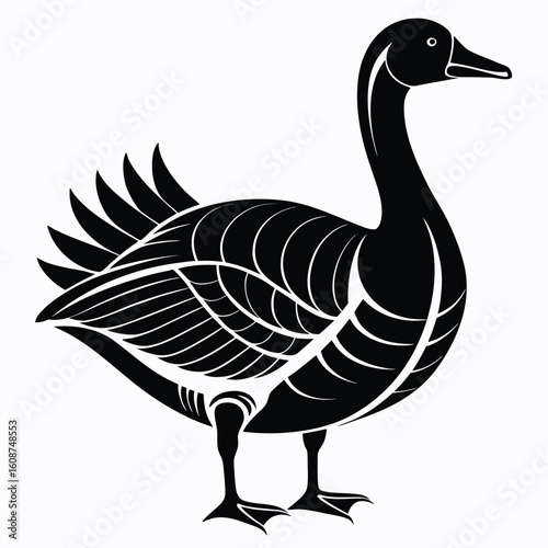 goose isolated on white background