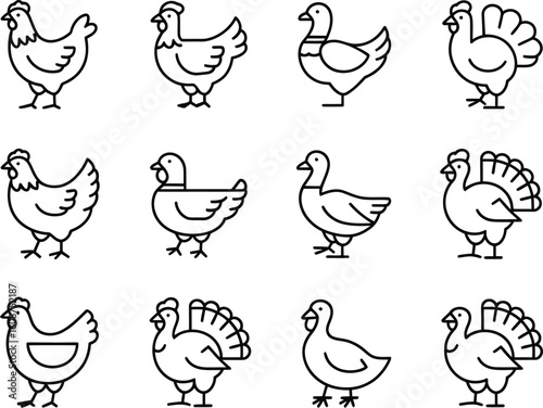 Collection of hand drawn farm birds including chickens ducks and turkeys
