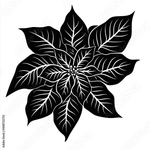 Black and White Floral Vector Illustration