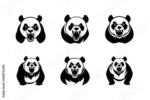 panda bear vector illustration