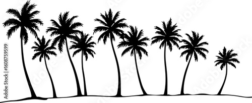 palm tree, tropical tree, tree silhouette bundle