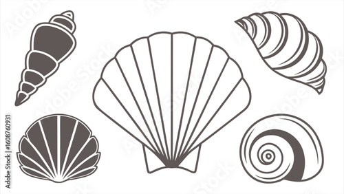 Flat vector set of 5 seashell silhouettes conch