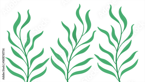 Flat minimalist of kelp forest fronds swaying
