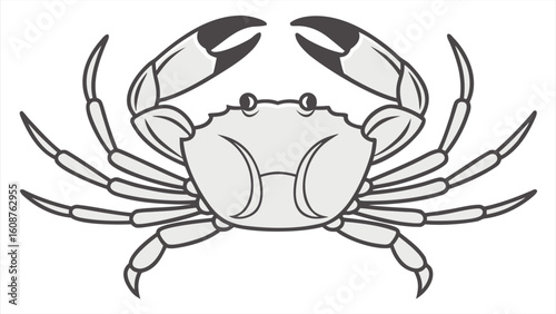 Flat silhouette of a crab sideways walking