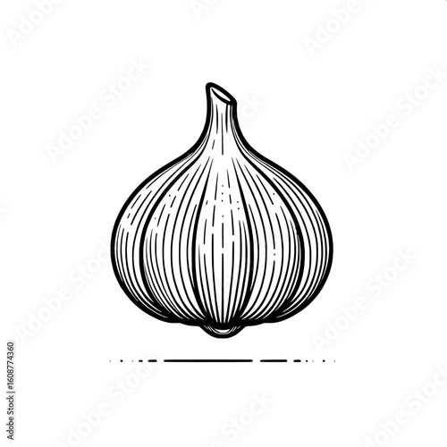 Garlic Line Art SVG | Simple Black & White Vegetable