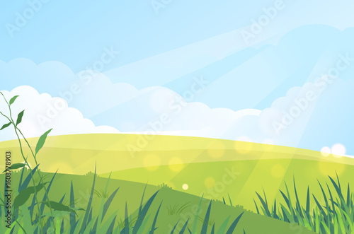 Grass Background Vector Design