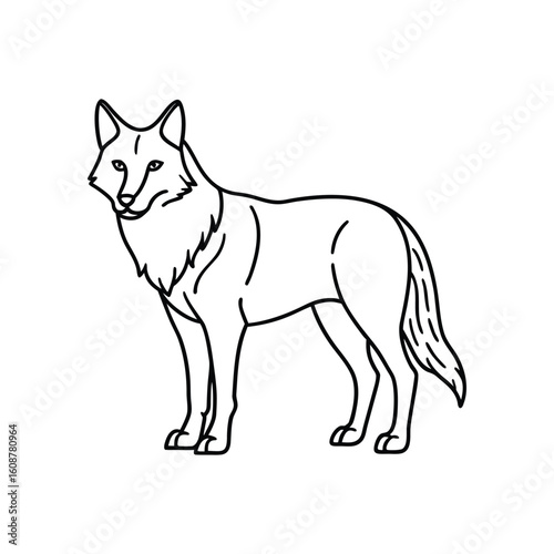 Wolf line art, wolf clipart, wolf