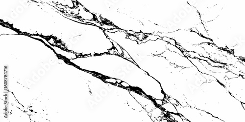 A high-contrast, monochromatic close-up of a natural stone surface, showcasing intricate, organic black veins sharply contrasting against a pure white background. 