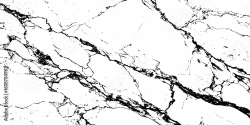 A high-contrast, monochromatic close-up of a natural stone surface, showcasing intricate, organic black veins sharply contrasting against a pure white background. 