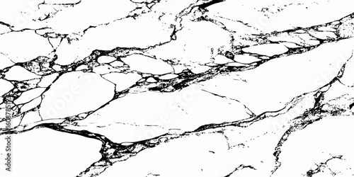 A high-contrast, monochromatic close-up of a natural stone surface, showcasing intricate, organic black veins sharply contrasting against a pure white background. 