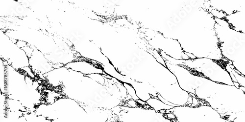 Create a high-resolution, seamless white marble texture with intricate black veining patterns. The design should evoke elegance and natural stone aesthetics,