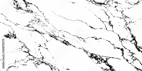 Create a high-resolution, seamless white marble texture with intricate black veining patterns. The design should evoke elegance and natural stone aesthetics,