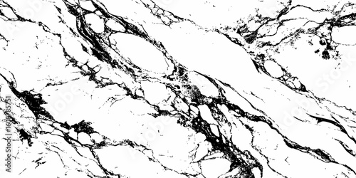 A high-contrast, monochromatic close-up of a natural stone surface, showcasing intricate, organic black veins sharply contrasting against a pure white background. 