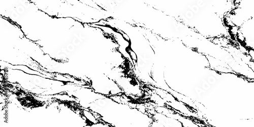 A high-contrast, monochromatic close-up of a natural stone surface, showcasing intricate, organic black veins sharply contrasting against a pure white background. 