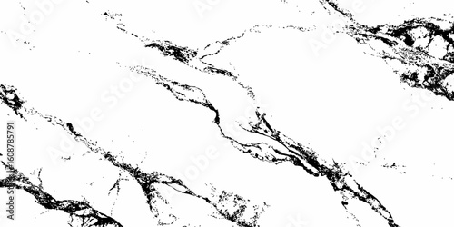 A high-contrast, monochromatic close-up of a natural stone surface, showcasing intricate, organic black veins sharply contrasting against a pure white background. 