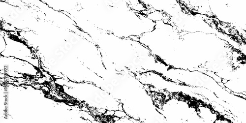 Create a high-resolution, seamless white marble texture with intricate black veining patterns. The design should evoke elegance and natural stone aesthetics,