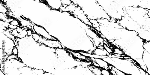 A high-contrast, monochromatic close-up of a natural stone surface, showcasing intricate, organic black veins sharply contrasting against a pure white background. 