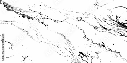 Create a high-resolution, seamless white marble texture with intricate black veining patterns. The design should evoke elegance and natural stone aesthetics,