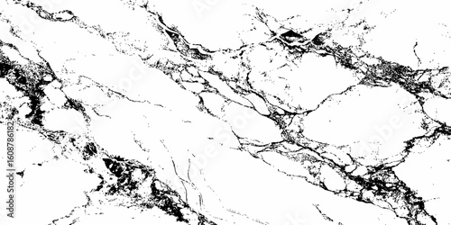 Create a high-resolution, seamless white marble texture with intricate black veining patterns. The design should evoke elegance and natural stone aesthetics,