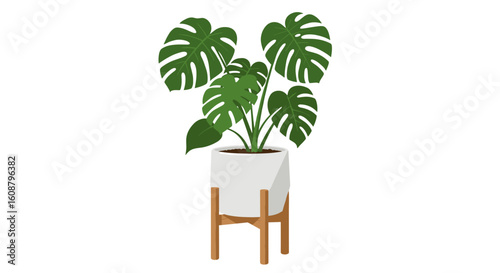 Monstera plant in geometric planter with wooden stand on white background